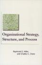 Organizational Strategy, Structure, And Process - Preview