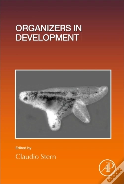 Capa do artigo Organizers In Development