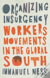 Organizing Insurgency