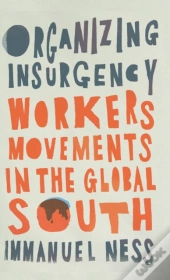 Organizing Insurgency