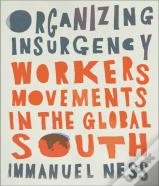 Organizing Insurgency