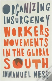 Capa do artigo Organizing Insurgency
