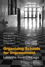 Organizing Schools For Improvement - Preview