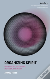 Capa do artigo Organizing Spirit