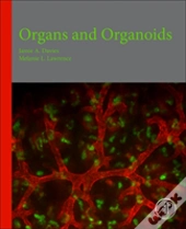 Organs And Organoids