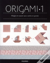 Capa do artigo Origami 1