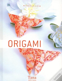 Capa do artigo Origami