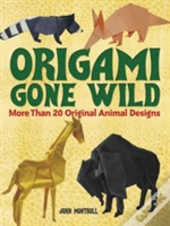 Origami Gone Wild