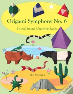 Capa do artigo Origami Symphony No. 6