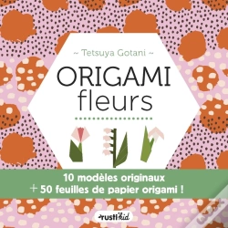 Capa do artigo Origamis Fleurs