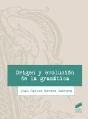 Origen Y Evolución De La Gramática - Preview