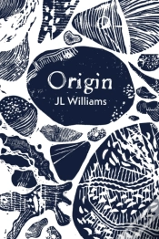 Capa do artigo Origin