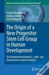 Origin Of A New Progenitor Stem Cell Group In Human Development