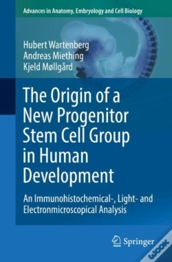 Capa do artigo Origin Of A New Progenitor Stem Cell Group In Human Development