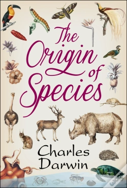 Capa do artigo Origin Of Species
