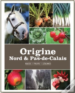 Capa do artigo Origine Nord Et Pas De Calais