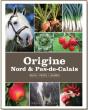Origine Nord Et Pas De Calais - Preview