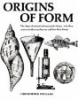 Origins Of Form - Preview