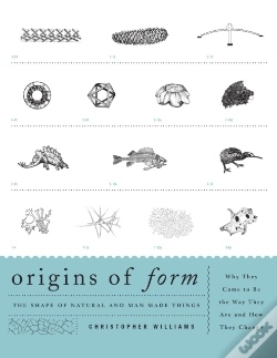 Capa do artigo Origins Of Form