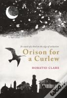 Orison For A Curlew