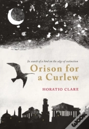 Capa do artigo Orison For A Curlew