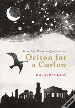 Capa do artigo Orison For A Curlew