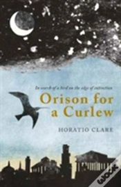 Capa do artigo Orison For A Curlew