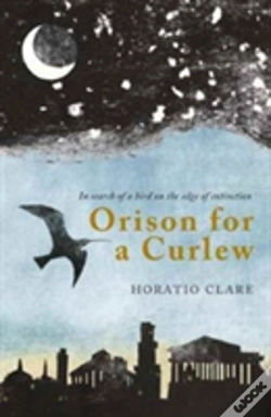 Capa do artigo Orison For A Curlew
