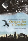 Orison For A Curlew