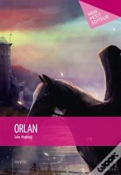 Capa do artigo Orlan