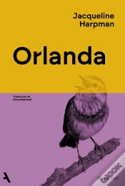 Capa do artigo Orlanda