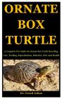 Ornate Box Turtle - Preview