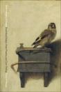 Ornithologies Of Desire - Preview
