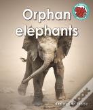 Orphan Elephants
