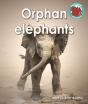 Orphan Elephants - Preview
