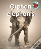 Orphan Elephants