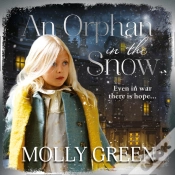 Capa do artigo Orphan In The Snow