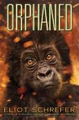 Orphaned (Ape Quartet #4)