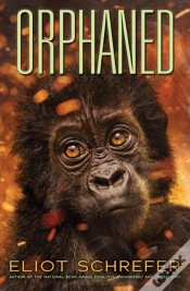 Capa do artigo Orphaned (Ape Quartet #4)