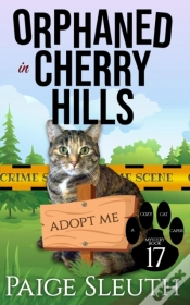 Capa do artigo Orphaned In Cherry Hills