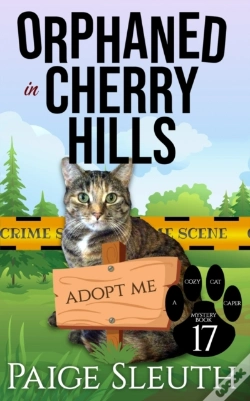 Capa do artigo Orphaned In Cherry Hills