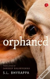 Capa do artigo Orphaned