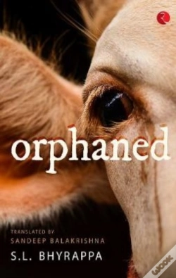 Capa do artigo Orphaned