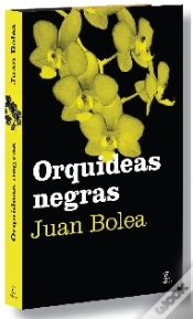 Capa do artigo Orqu¡Deas Negras