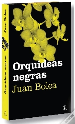 Capa do artigo Orqu¡Deas Negras