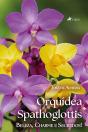 Orquídea Spathoglottis - Preview