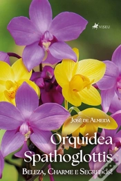 Capa do artigo Orquídea Spathoglottis