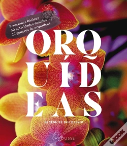 Capa do artigo Orquídeas