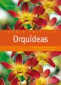 Orquídeas - Preview