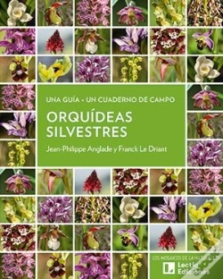 Capa do artigo Orquideas Silvestres